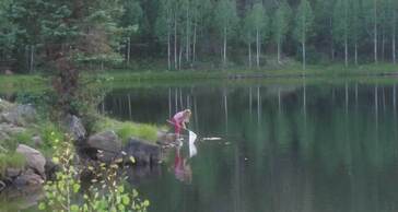 Northwoods Cabins Is Centrally Located near Lakes Hiking Trails and Skiing Pinetop Arizona Cabins for Rent